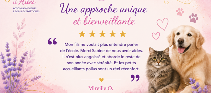 approche unique Soins et animaux